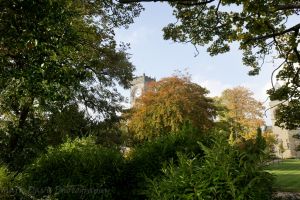 _chevin autumn5.jpg